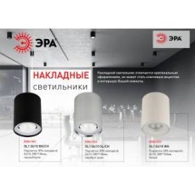 OL1 GU10 WH Подсветка ЭРА накладной, GU10, D80*100мм, белый (50/700) ‎