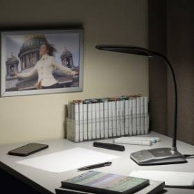 ЭРА наст.светильник NLED-447-9W-S серебро (8/128) ‎