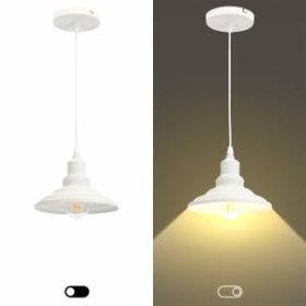 PL4 WH Подвес ЭРА металл, E27, max 60W, d203 мм, шагрень белый (10/210) ‎