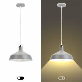 PL2 GR/SN Подвес ЭРА металл, E27, max 60W, d300 мм, шагрень серый/сатин никель (8/48) ‎