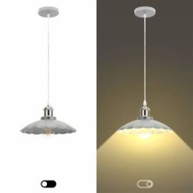 PL3 GR/SN Подвес ЭРА металл, E27, max 60W, d245 мм, шагрень серый/сатин никель (10/160) ‎