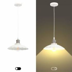 PL3 WH/SN Подвес ЭРА металл, E27, max 60W, d245 мм, шагрень белый/сатин никель (10/160) ‎