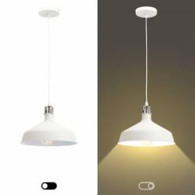 PL2 WH/SN Подвес ЭРА металл, E27, max 60W, d300 мм, шагрень белый/сатин никель (8/48) ‎