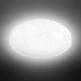 Светильник потолочный светодиодный ЭРА Классик без ДУ SPB-6 "Сюзи" 24-4K 24Вт 4000K 1850Лм ‎