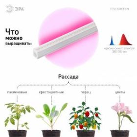 Светильник для растений, фитолампа светодиодная линейная ЭРА FITO-16W-Т5-N красно-синего спектра 16 Вт Т5 ‎