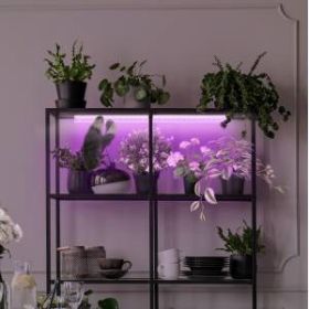 Светильник для растений, фитолампа светодиодная линейная ЭРА LLED-05-T5-FITO-14W-W полного спектра 14 Вт ‎