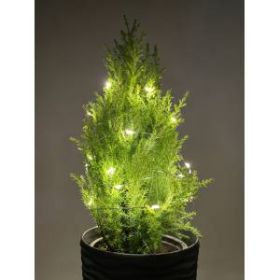 ENIN-2B ЭРА Гирлянда LED Нить 2 м теплый свет, АА, IP20 (100/4800) ‎