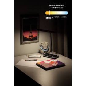 ЭРА наст.светильник NLED-458-6W-BK черный (16/96) ‎